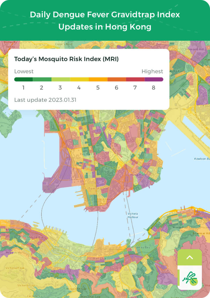 Mosquito Map