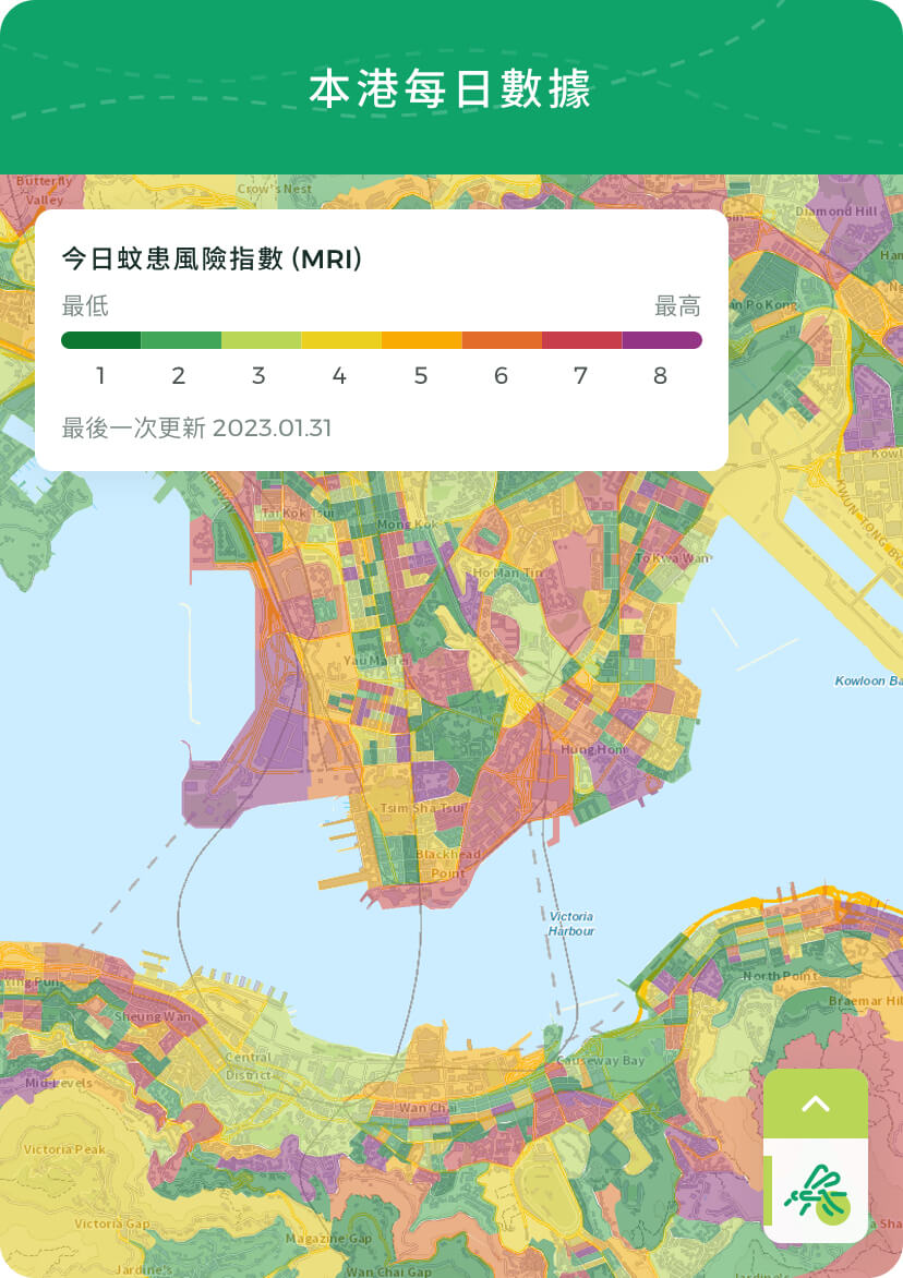 Mosquito Map