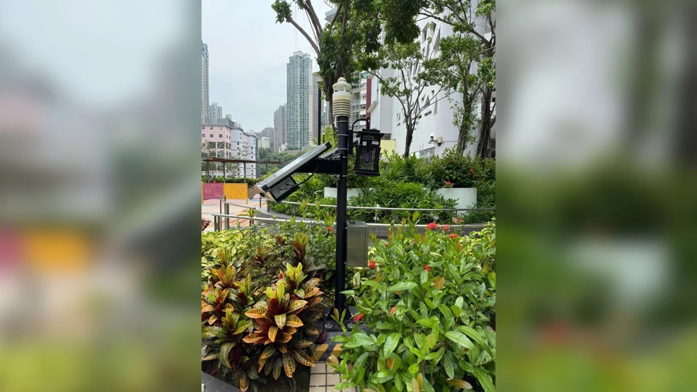 Lingnan University develops real-time GeoAI platform for mosquito-borne disease control in three Housing Society estates to help prevent chikungunya transmission